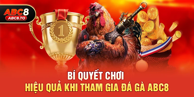 Bí quyết chơi hiệu quả khi tham gia Đá gà abc8