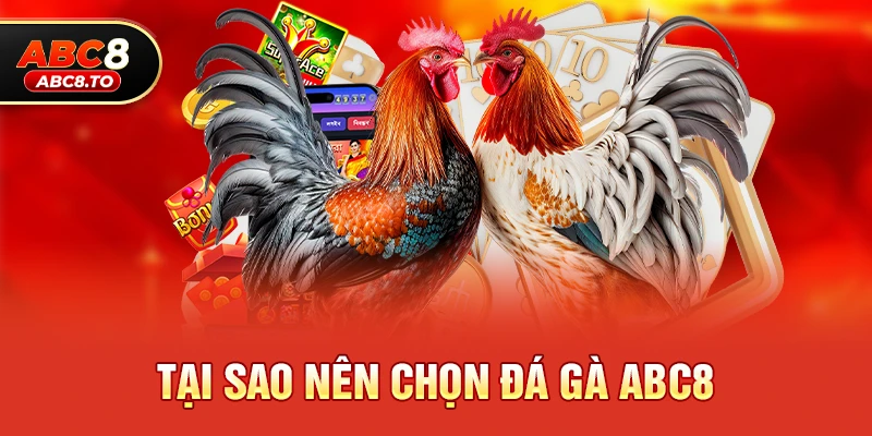 Tại sao nên chọn Đá gà abc8